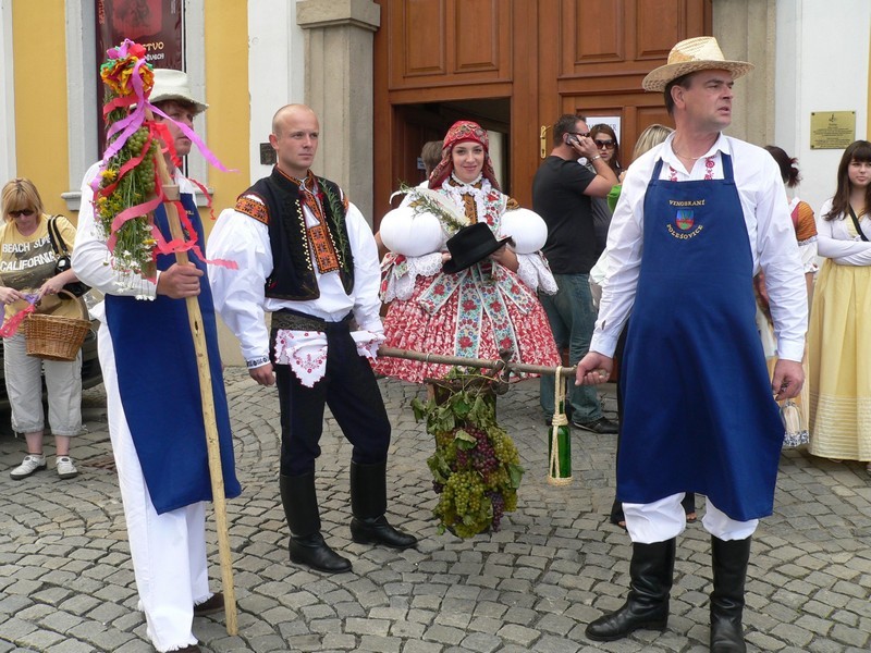 Novinky a aktuality